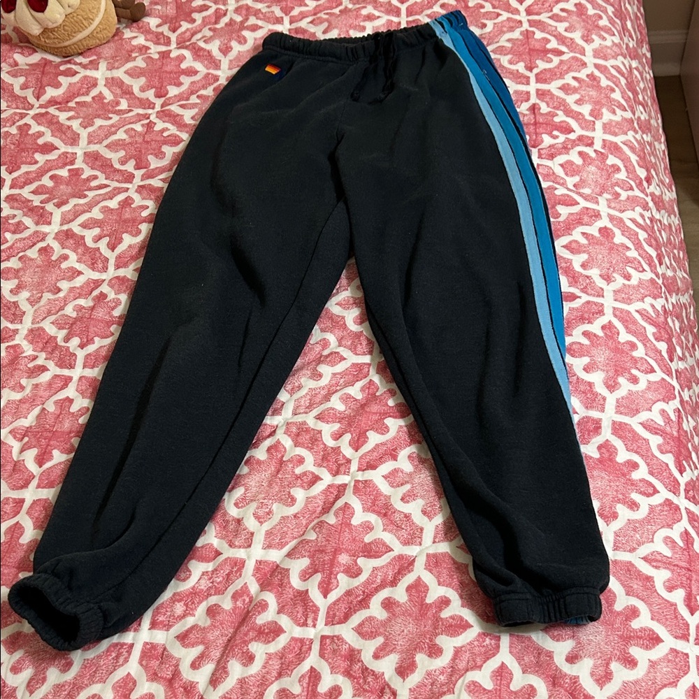 Aviator Nation 5 Stripe Blue Sweatpants
